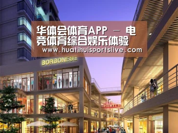 案例展示一(图1)