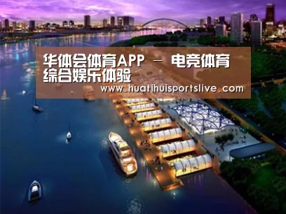 案例展示八