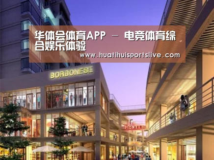 案例展示一