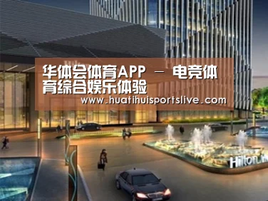 案例展示二