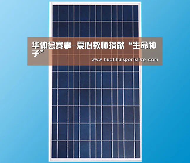 华体会娱乐